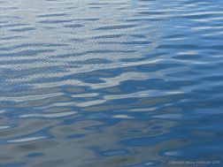 Water surface texture