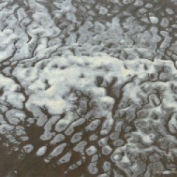 Natural patterns of sea foam on the beach