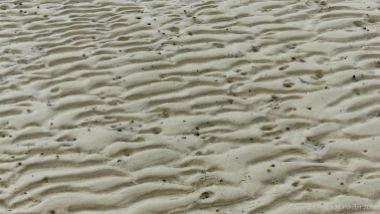 Natural patterns in the sand