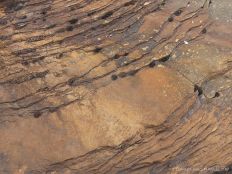 Water-worn sedimentary rock strata on the seashore