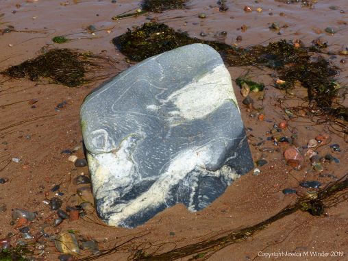 Aspects of Nature on a Scottish seashore