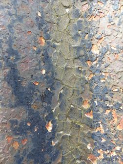 Textures produced by weathering on corrugated iron