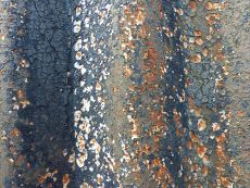 Textures produced by weathering on corrugated iron