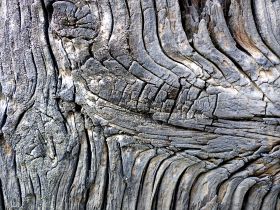 Textures produced by weathering and age on old boathouse woodwork