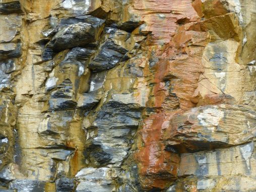 Illustration of active processes of weathering and erosion on sedimentary cliff rocks belonging to the Kimmeridge Clay Formation