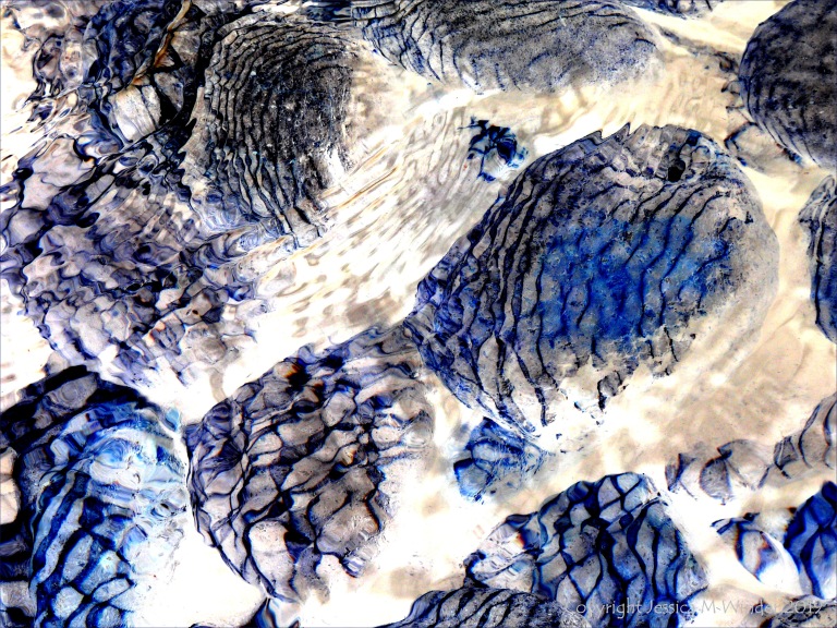 Part of a study of natural patterns of reflected light on river-bed pebbles