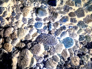 Part of a study of natural patterns of reflected light on river-bed pebbles