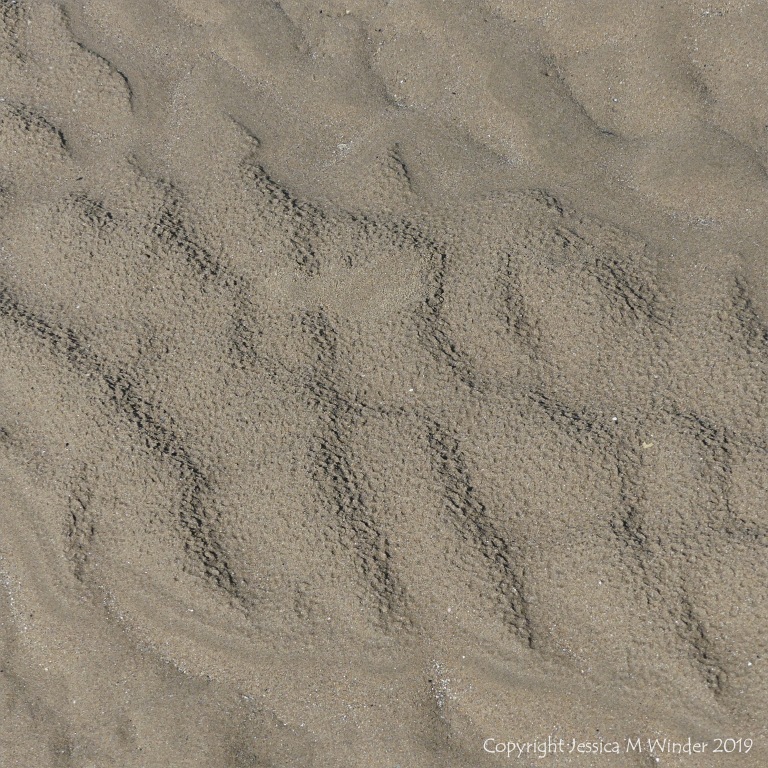 Natural sand patterns left by the ebbing tide