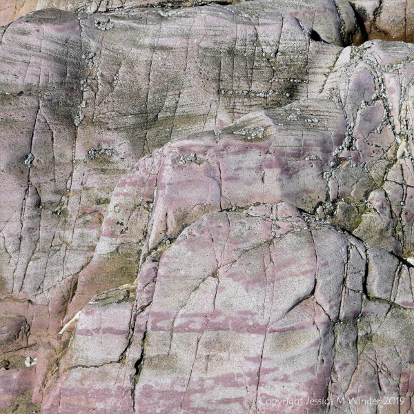 Seashore limestone rock pattern and texture