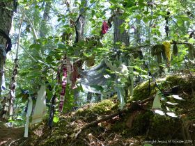 Votive offerings on trees at a sacred site