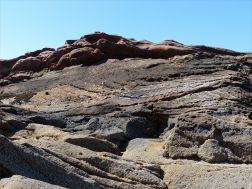 Upper Old Red Devonian Sandstone at Portmahomack