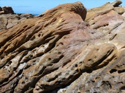 Sedimentary Upper Old Red Devonian Sandstone at Portmahomack