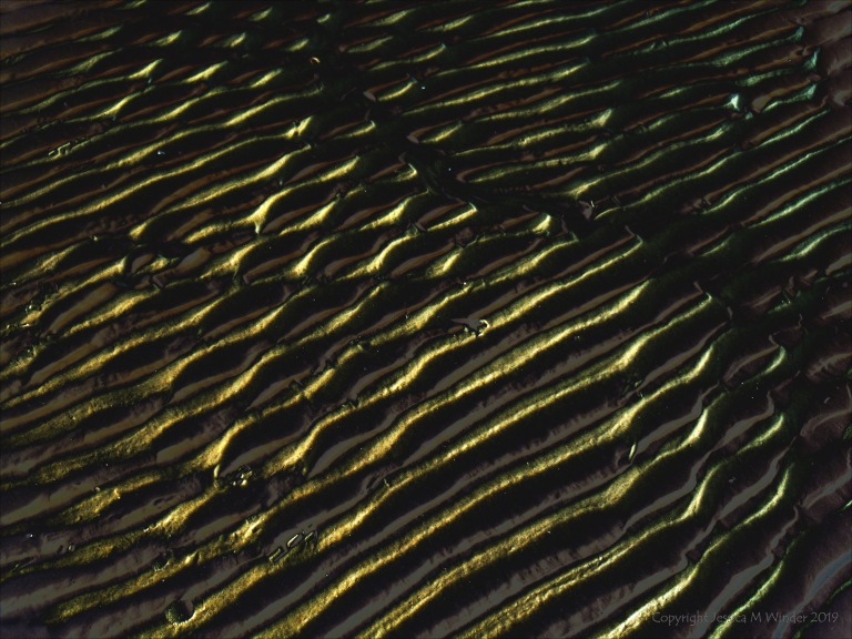 Abstract enhanced photograph of sand ripple patterns
