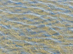 Ripple patterns on shallow water over sand