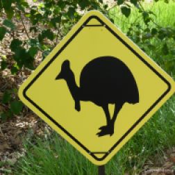 Cassowary warning sign in Queensland