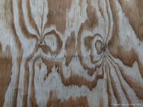 Woodgrain patterns in plywood
