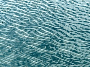 Seawater surface texture and reflection patterns