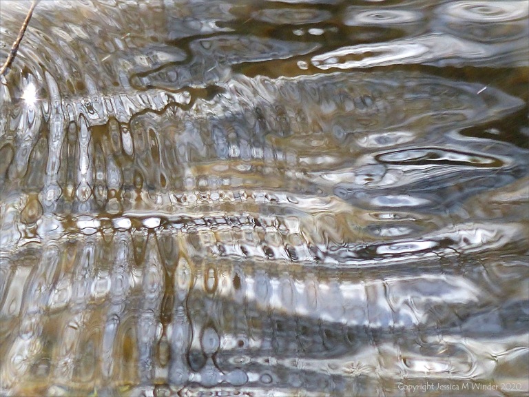 Abstract natural patterns on water