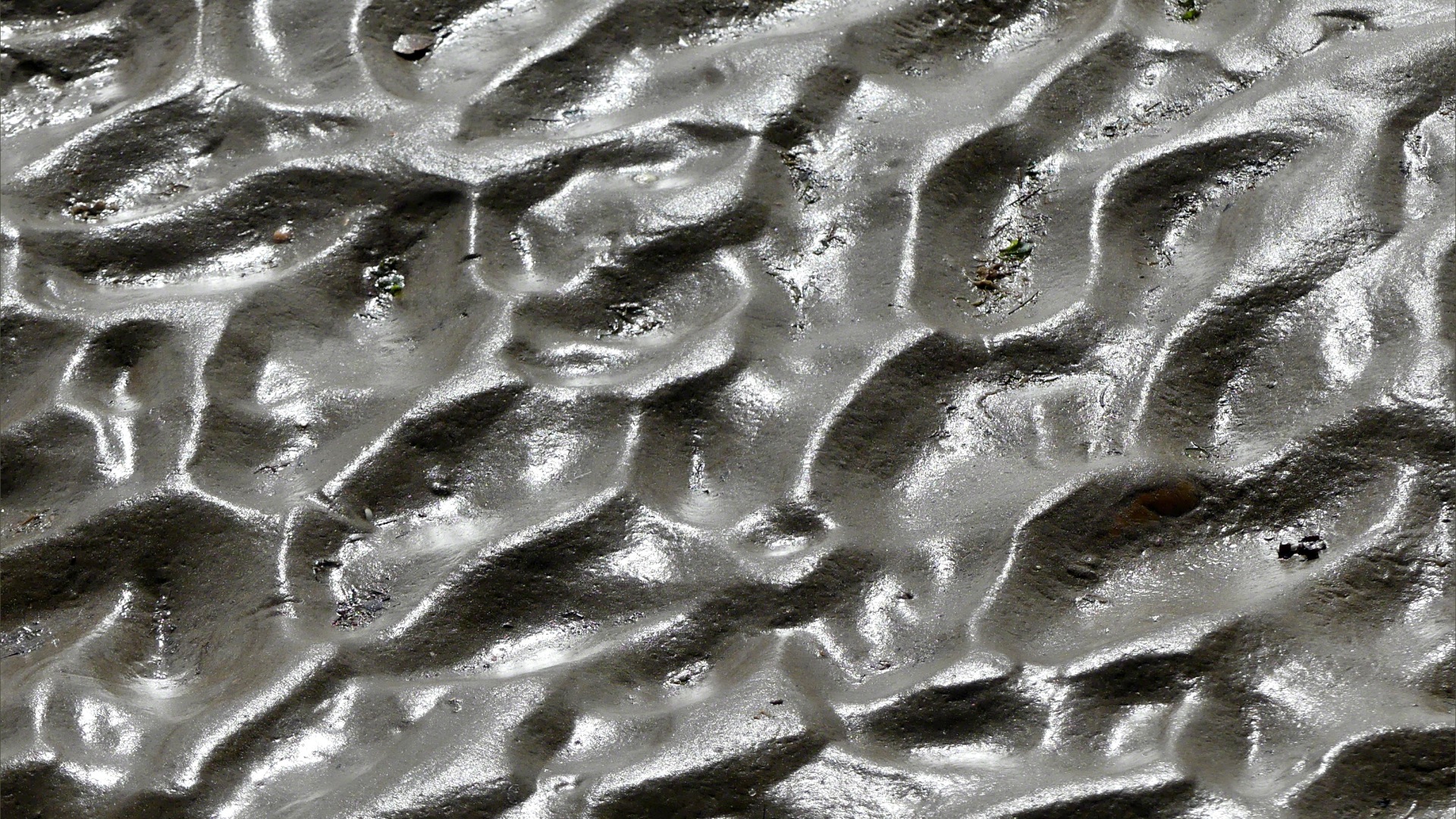 Ripples in sand on the seashore