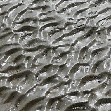 Ripples in sand on the seashore