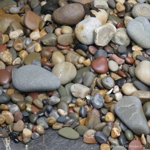 Smooth coloured pebbles at Caswell Bay