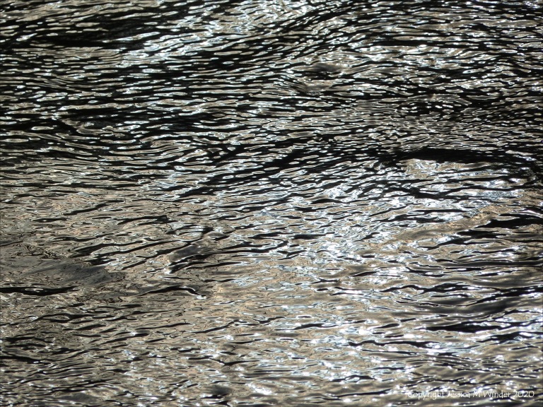 Detail of the winter River Frome from The Retreat at Sculpture by the Lakes in Dorset