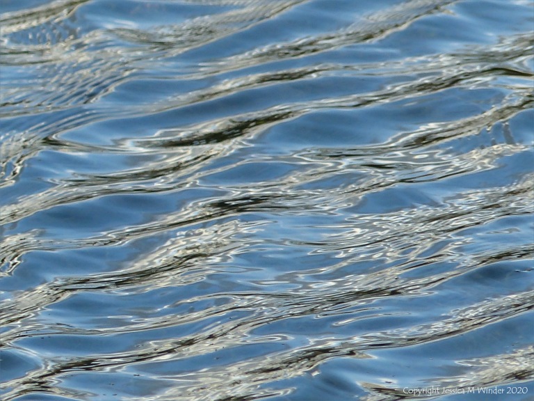 Natural ripple patterns on water in a flooded field