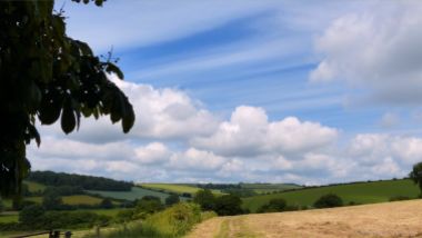 View from a walk around a Dorset country village in June