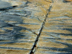 Rock texture and pattern at Garretstown in County Cork
