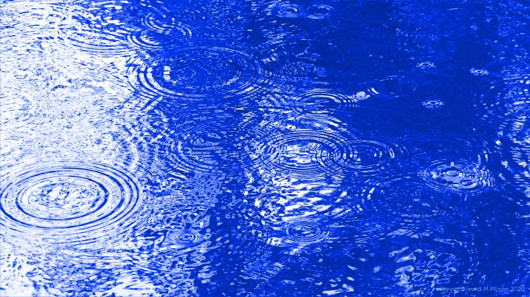 Concentric ripple patterns on water