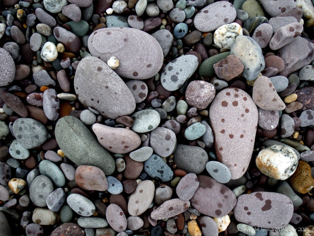 Dry beach pebbles with rain spots