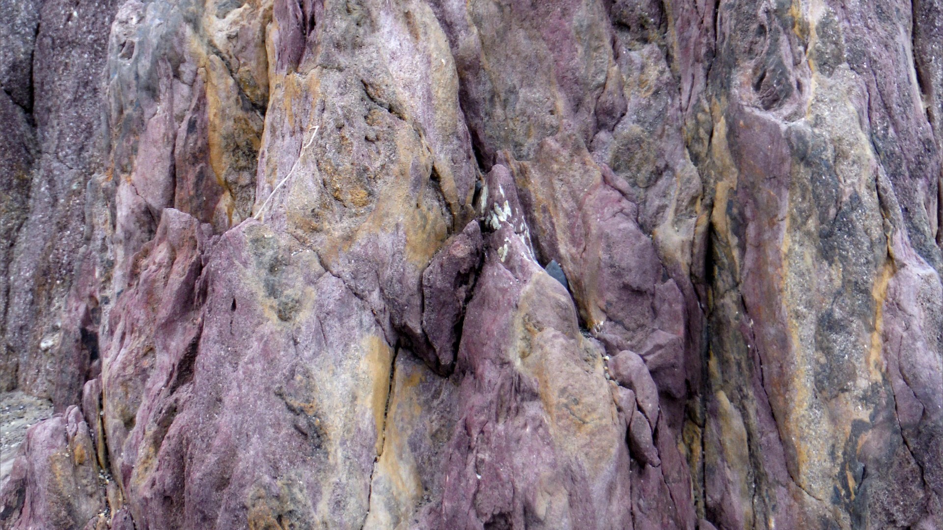 Devonian rocks at Trabeg on Dingle in Ireland.