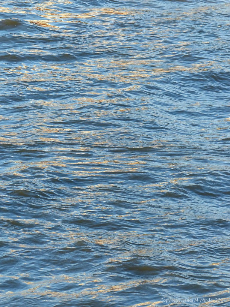 Golden reflected light on water in deep flowing river