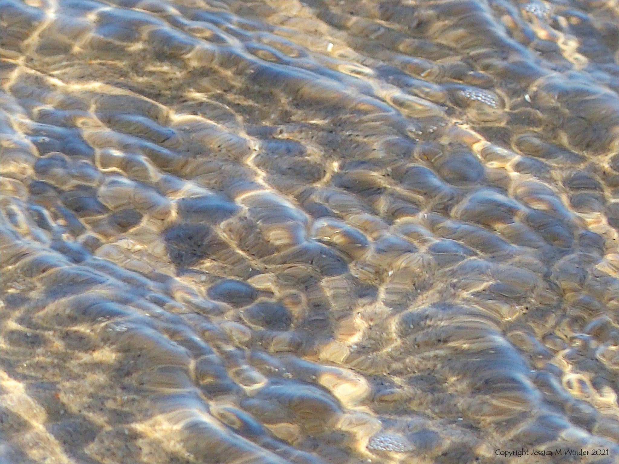 Water & Sand 7-13 SBJCD – Jessica's Nature Blog