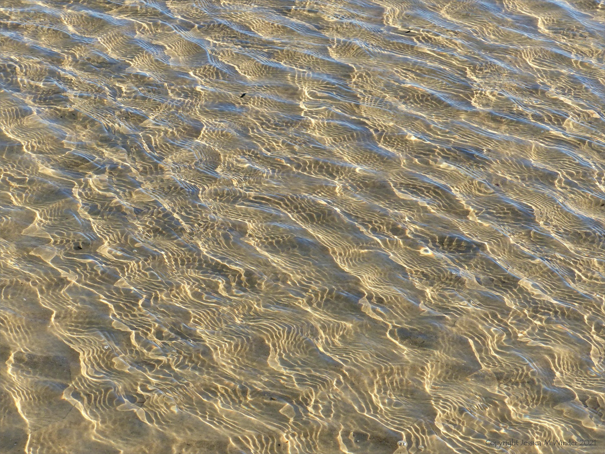 Water & Sand 14-21 SBJCD – Jessica's Nature Blog
