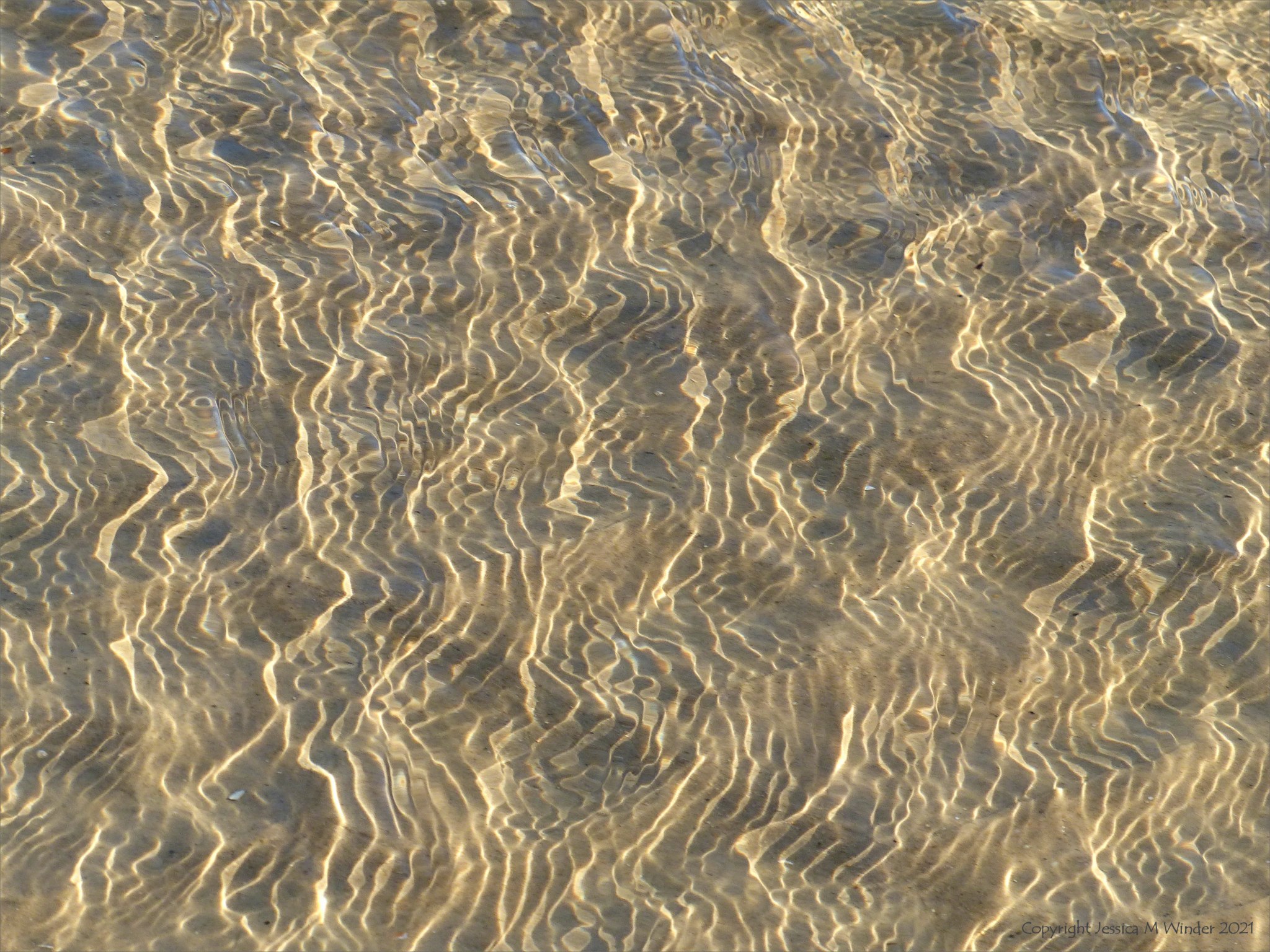 Water & Sand 14-21 SBJCD – Jessica's Nature Blog
