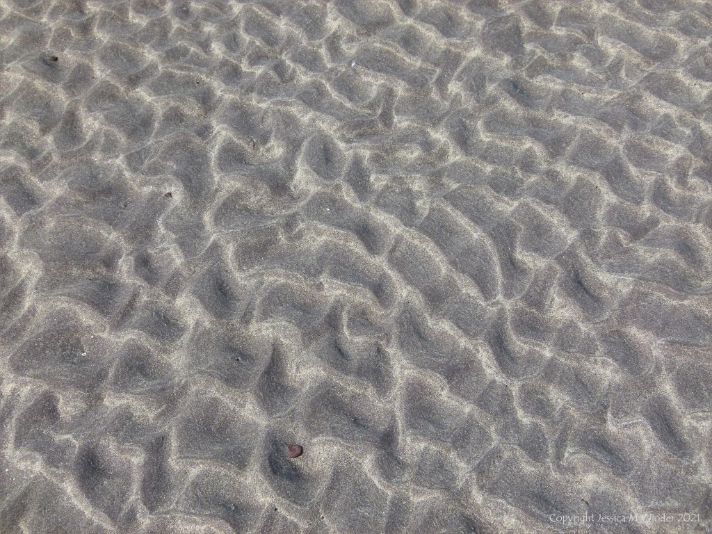 Natural patterns and texture in sand