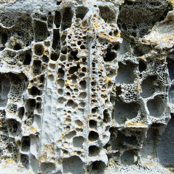 Sea wall rock with holes caused by weathering erosion