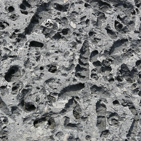 Close-up of a stone block in a sea wall with shaped holes left by erosion of shell fossils
