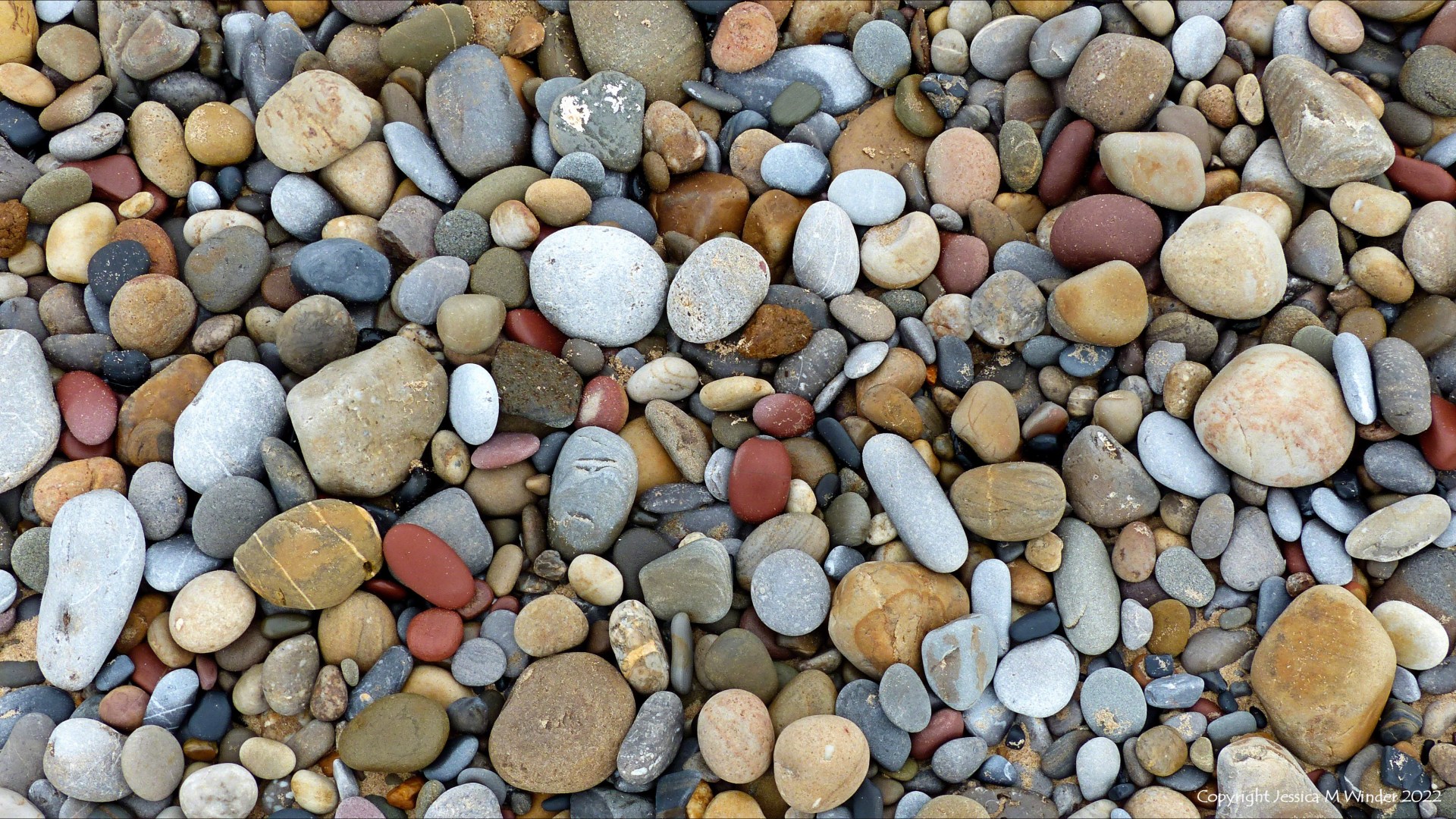 Pebbles with different colours and shapes on the beach
