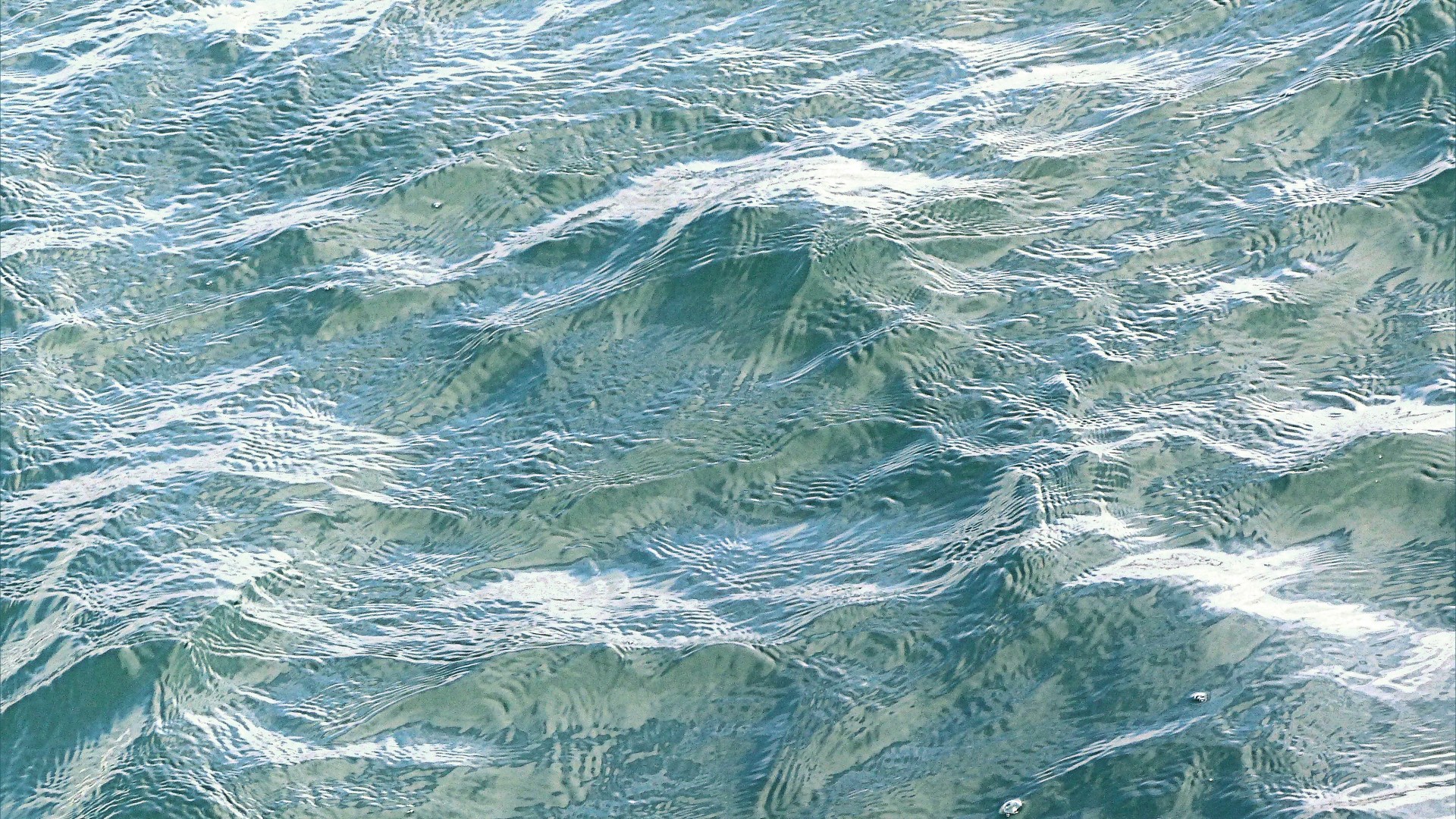 Surface texture of sea water disturbed by a strong breeze