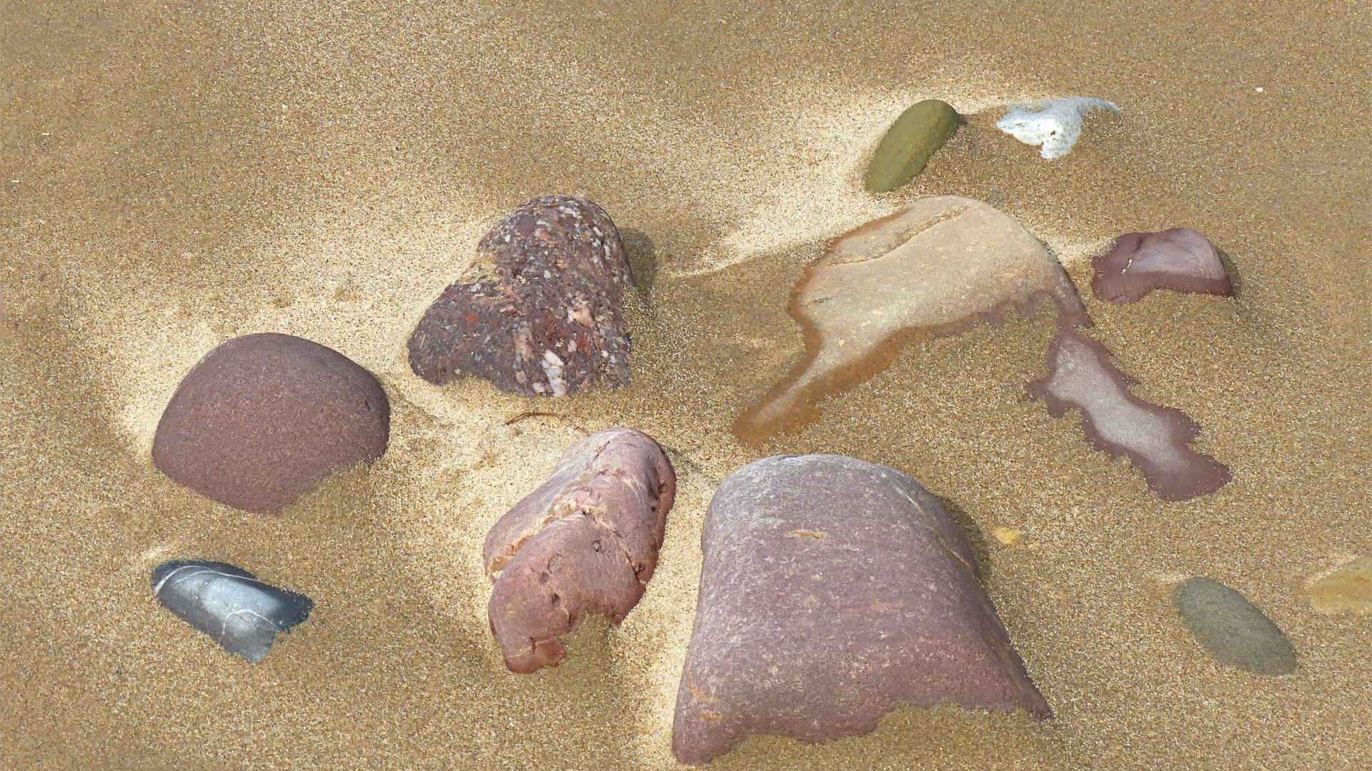 Beach stones and wet compacted sand on the seashore
