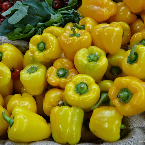 Display of bright yellow sweet peppers on a market stall